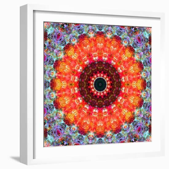 Symmetric Floral Montage with Red Blooming Rose Blossom, Cherry Blossoms and Spring Trees-Alaya Gadeh-Framed Photographic Print