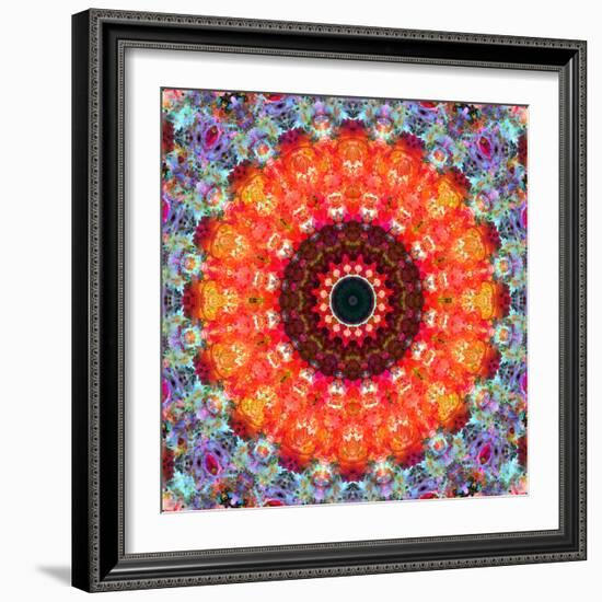 Symmetric Floral Montage with Red Blooming Rose Blossom, Cherry Blossoms and Spring Trees-Alaya Gadeh-Framed Photographic Print