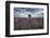 Symmetric lavender field and a lonely tree in the middle, Valensole, Provence, France, Europe-Francesco Fanti-Framed Photographic Print