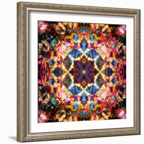 Symmetric Layer Work from Flower Photographs-Alaya Gadeh-Framed Photographic Print