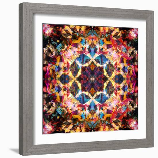 Symmetric Layer Work from Flower Photographs-Alaya Gadeh-Framed Photographic Print