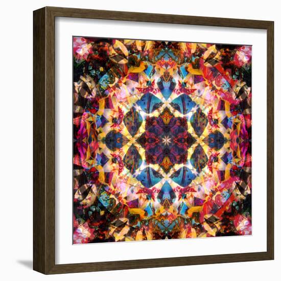 Symmetric Layer Work from Flower Photographs-Alaya Gadeh-Framed Photographic Print