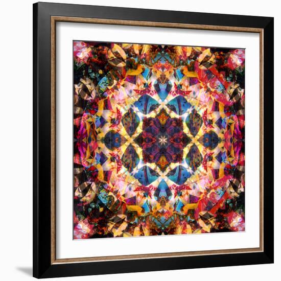 Symmetric Layer Work from Flower Photographs-Alaya Gadeh-Framed Photographic Print