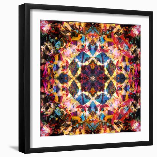 Symmetric Layer Work from Flower Photographs-Alaya Gadeh-Framed Photographic Print