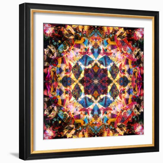 Symmetric Layer Work from Flower Photographs-Alaya Gadeh-Framed Photographic Print