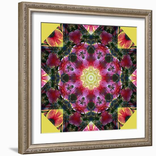 Symmetric Layer Work from Flower Photographs-Alaya Gadeh-Framed Photographic Print