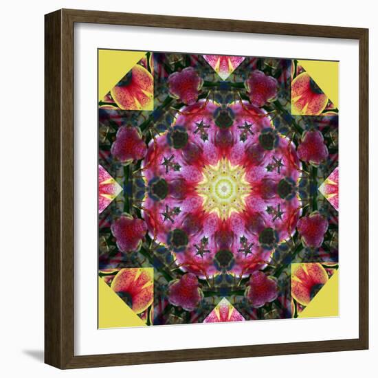 Symmetric Layer Work from Flower Photographs-Alaya Gadeh-Framed Photographic Print