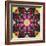 Symmetric Layer Work from Flower Photographs-Alaya Gadeh-Framed Photographic Print