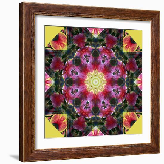 Symmetric Layer Work from Flower Photographs-Alaya Gadeh-Framed Photographic Print