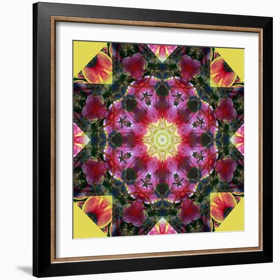 Symmetric Layer Work from Flower Photographs-Alaya Gadeh-Framed Photographic Print