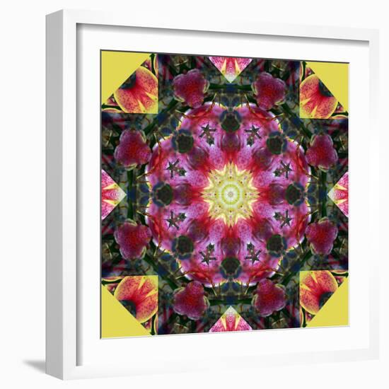 Symmetric Layer Work from Flower Photographs-Alaya Gadeh-Framed Photographic Print