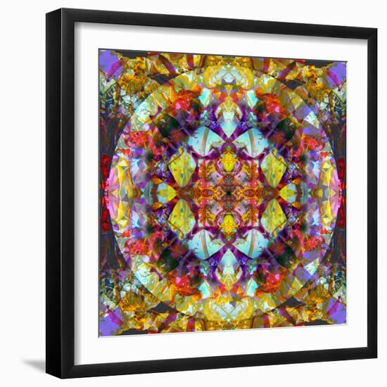 Symmetric Layer Work from Flower Photographs-Alaya Gadeh-Framed Photographic Print