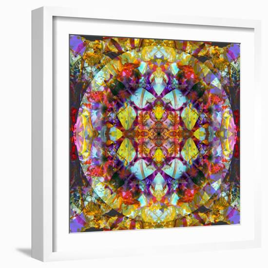 Symmetric Layer Work from Flower Photographs-Alaya Gadeh-Framed Photographic Print