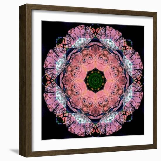 Symmetric Layer Work from Flower Photographs-Alaya Gadeh-Framed Photographic Print