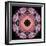 Symmetric Layer Work from Flower Photographs-Alaya Gadeh-Framed Photographic Print