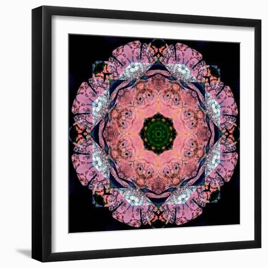 Symmetric Layer Work from Flower Photographs-Alaya Gadeh-Framed Photographic Print