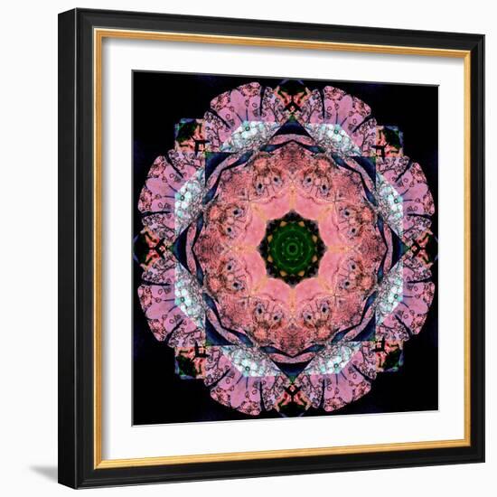 Symmetric Layer Work from Flower Photographs-Alaya Gadeh-Framed Photographic Print