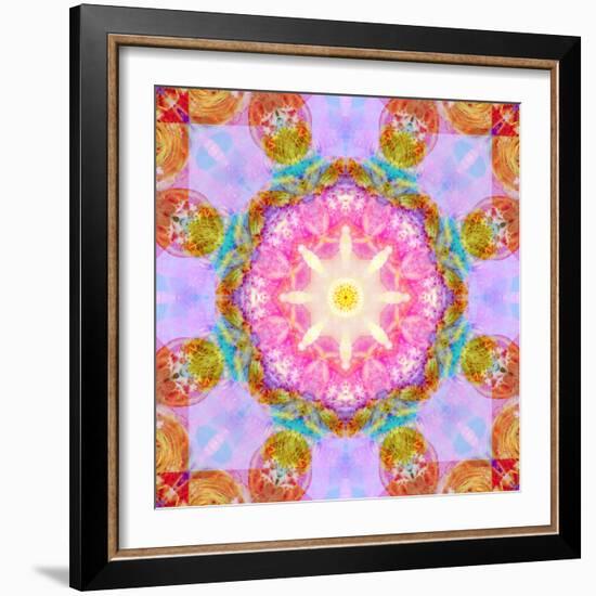 Symmetric Layer Work from Flowers Photographs-Alaya Gadeh-Framed Photographic Print