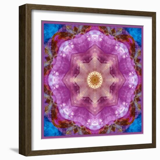 Symmetric Layer Work from Flowers Photographs-Alaya Gadeh-Framed Photographic Print