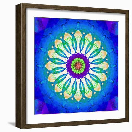 Symmetric Montage of Flowers and Fruits-Alaya Gadeh-Framed Photographic Print