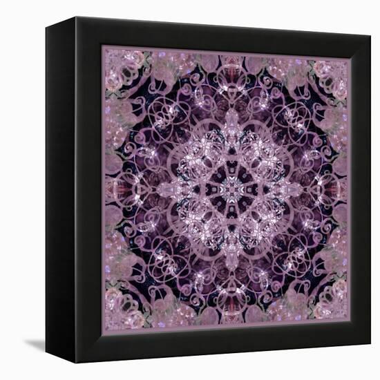 Symmetric Montage of Flowers-Alaya Gadeh-Framed Premier Image Canvas