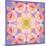 Symmetric Multicolor Layer Work of Blossoms-Alaya Gadeh-Mounted Photographic Print