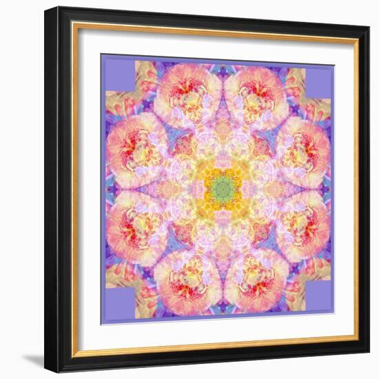 Symmetric Multicolor Layer Work of Blossoms-Alaya Gadeh-Framed Photographic Print