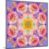 Symmetric Multicolor Layer Work of Blossoms-Alaya Gadeh-Mounted Photographic Print