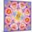 Symmetric Multicolor Layer Work of Blossoms-Alaya Gadeh-Mounted Photographic Print