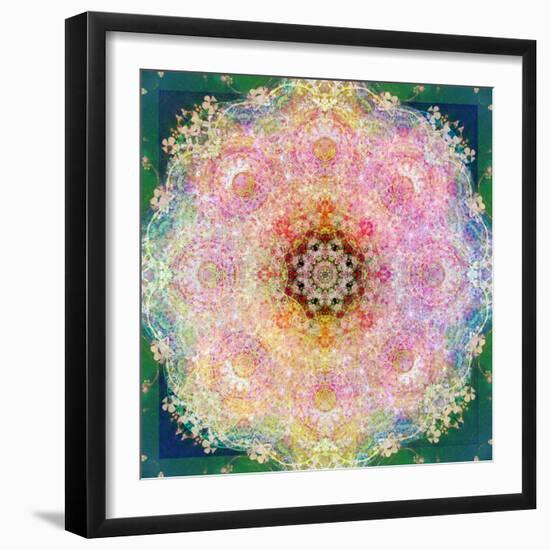 Symmetric Ornament from Flower Photographs-Alaya Gadeh-Framed Photographic Print
