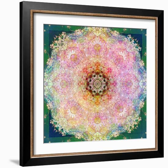 Symmetric Ornament from Flower Photographs-Alaya Gadeh-Framed Photographic Print