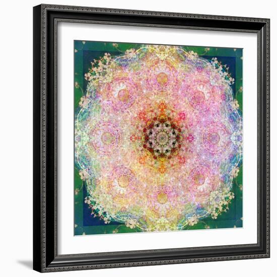 Symmetric Ornament from Flower Photographs-Alaya Gadeh-Framed Photographic Print