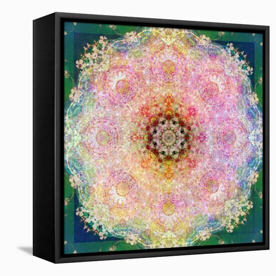 Symmetric Ornament from Flower Photographs-Alaya Gadeh-Framed Premier Image Canvas