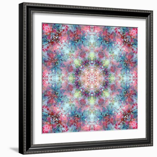 Symmetric Ornament from Flower Photographs-Alaya Gadeh-Framed Photographic Print