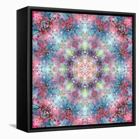 Symmetric Ornament from Flower Photographs-Alaya Gadeh-Framed Premier Image Canvas