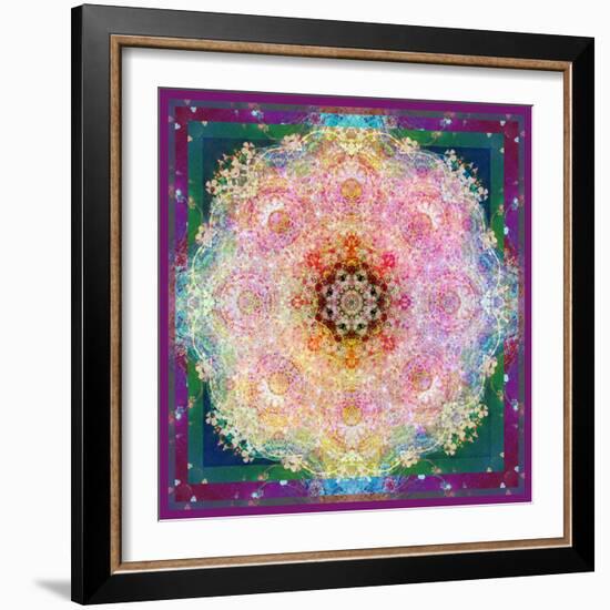 Symmetric Ornament from Flower Photographs-Alaya Gadeh-Framed Photographic Print