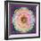 Symmetric Ornament from Flower Photographs-Alaya Gadeh-Framed Photographic Print