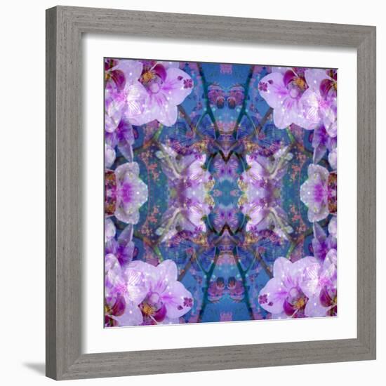 Symmetric Ornament from Flowers and Water Reflections-Alaya Gadeh-Framed Photographic Print