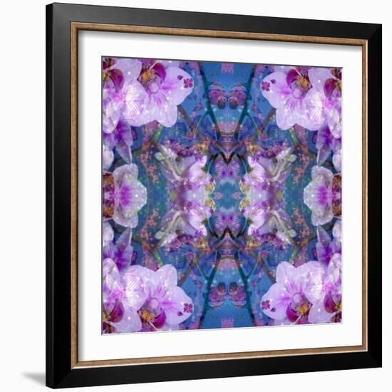 Symmetric Ornament from Flowers and Water Reflections-Alaya Gadeh-Framed Photographic Print