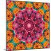 Symmetric Ornament from Flowers, Photographic Layer Work-Alaya Gadeh-Mounted Photographic Print