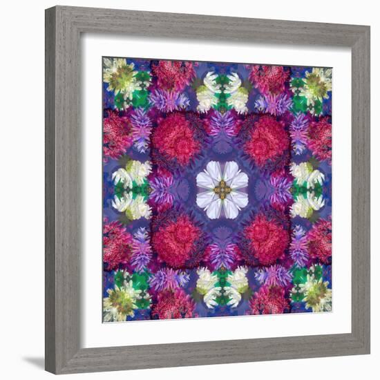 Symmetric Ornament from Multicolor Blossoms-Alaya Gadeh-Framed Photographic Print