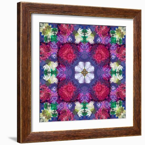 Symmetric Ornament from Multicolor Blossoms-Alaya Gadeh-Framed Photographic Print