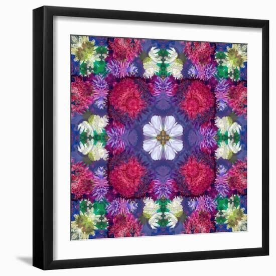 Symmetric Ornament from Multicolor Blossoms-Alaya Gadeh-Framed Photographic Print