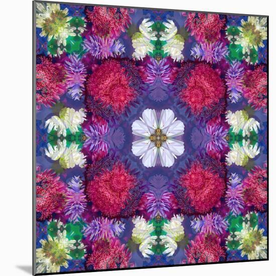 Symmetric Ornament from Multicolor Blossoms-Alaya Gadeh-Mounted Photographic Print