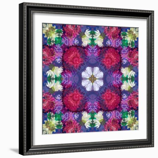 Symmetric Ornament from Multicolor Blossoms-Alaya Gadeh-Framed Photographic Print