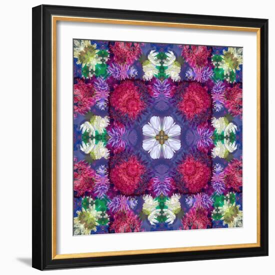 Symmetric Ornament from Multicolor Blossoms-Alaya Gadeh-Framed Photographic Print