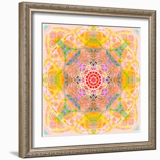 Symmetric Photographic Layer Work of Blossoms-Alaya Gadeh-Framed Photographic Print