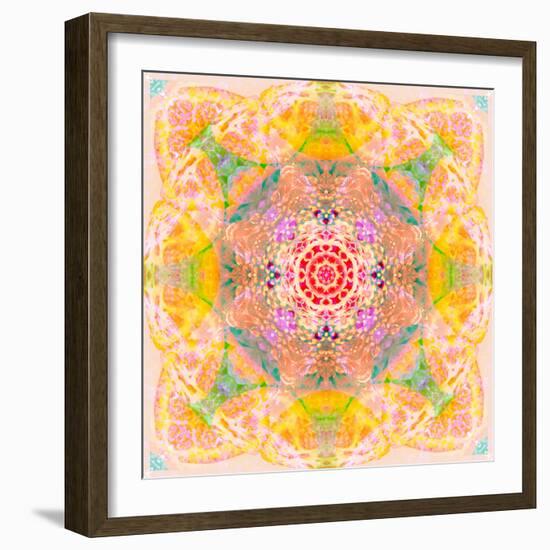 Symmetric Photographic Layer Work of Blossoms-Alaya Gadeh-Framed Photographic Print