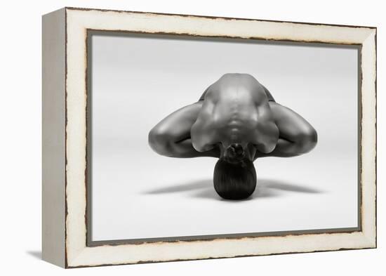 Symmetrical Gymnast-Ross Oscar-Framed Premier Image Canvas