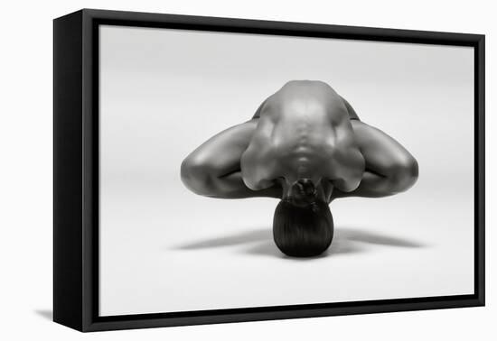 Symmetrical Gymnast-Ross Oscar-Framed Premier Image Canvas